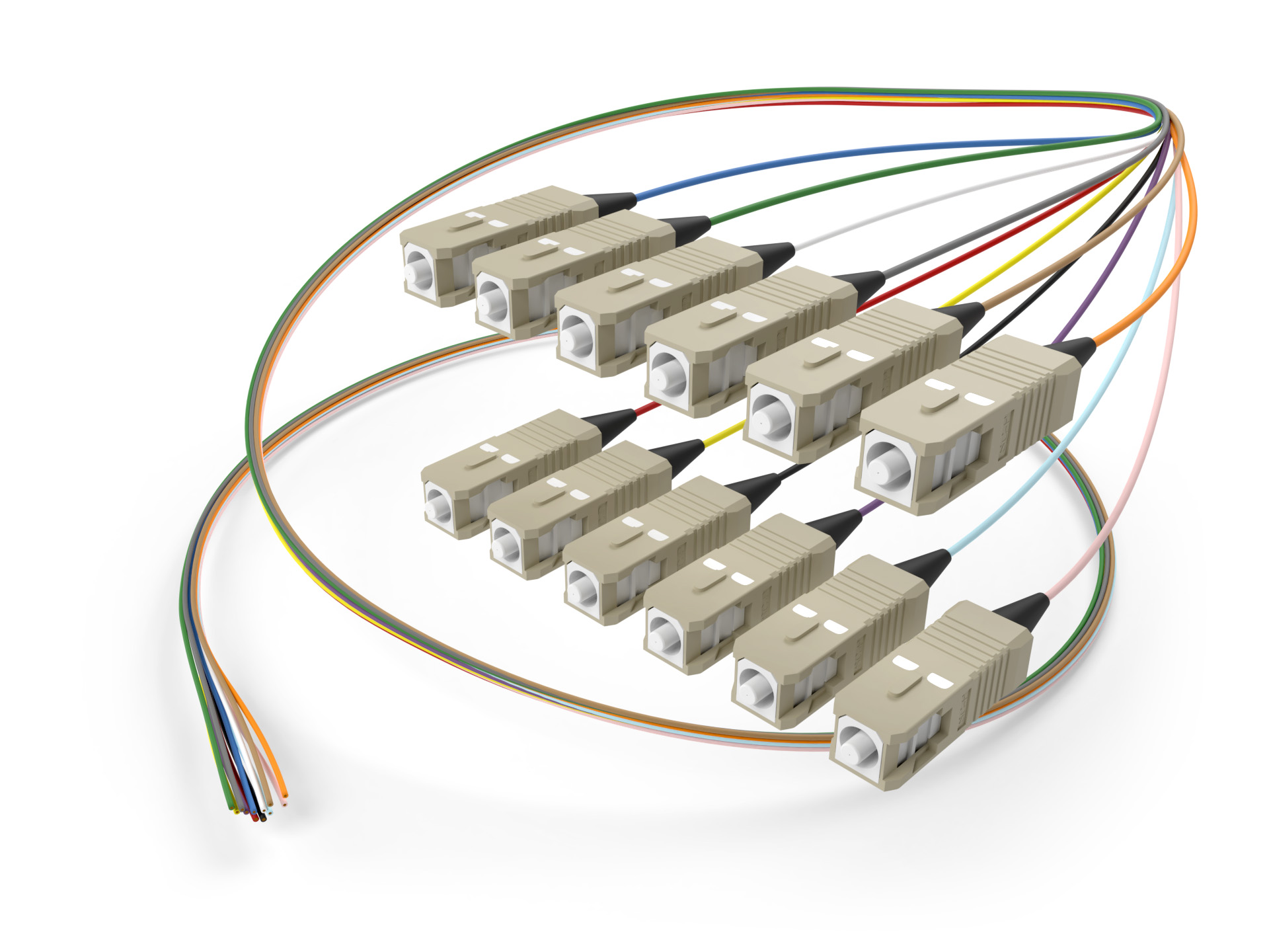 Image of OM3 SC 12 fiber pigtail