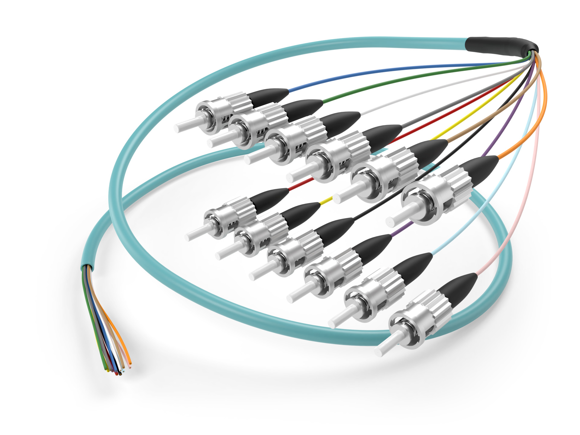 Image of OM3 ST 12 fiber pigtail