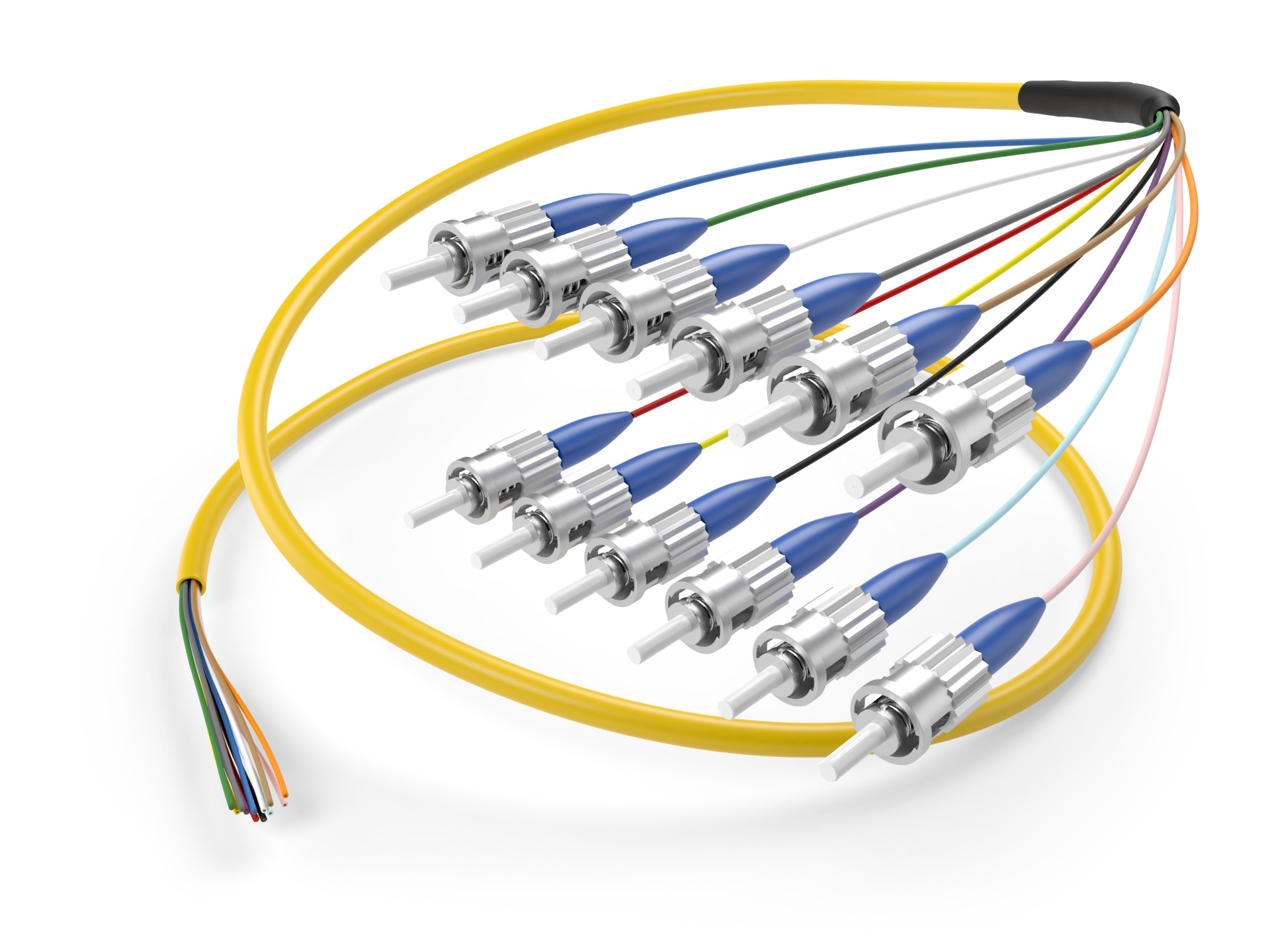 image of 12 fiber singlemode ST pigtail